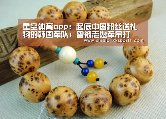 星空体育app：起底中国粉丝送礼物的韩国军队：曾被志愿军吊打(图3)