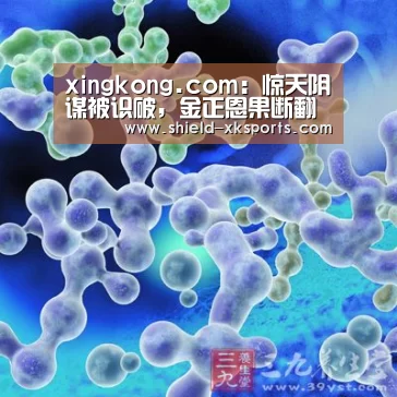xingkong.com：惊天阴谋被识破，金正恩果断翻脸，韩国懵了！(图1)