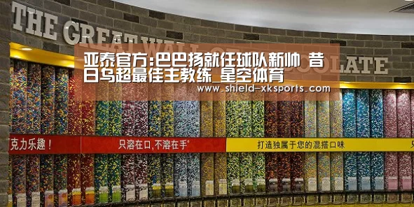 亚泰官方:巴巴扬就任球队新帅 昔日乌超最佳主教练_星空体育