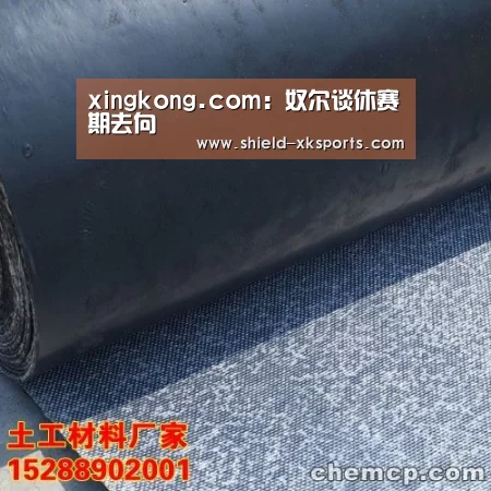 xingkong.com:奴尔谈休赛期去向(图1) xingkong.com:奴尔谈休赛期去向(图1)